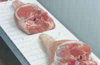 Joints of Meat on Conveyor Belt